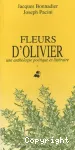 Fleurs d'olivier vignette